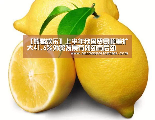 【熊猫娱乐】上半年我国贸易顺差扩大41.6%外贸发展有韧劲有后劲(图2) 熊猫体育app