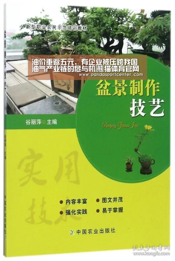 油价重返五元、有企业被压跨我国油气产业链的危与机|熊猫体育官网(图3) 熊猫体育官网