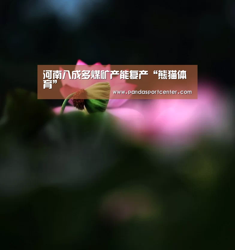 河南八成多煤矿产能复产“熊猫体育”(图1) 熊猫体育
