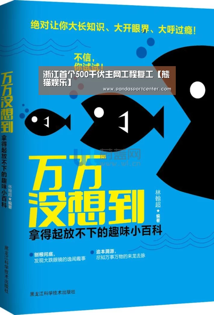 熊猫体育app