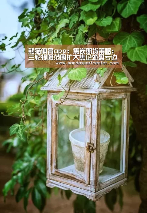 熊猫体育官网