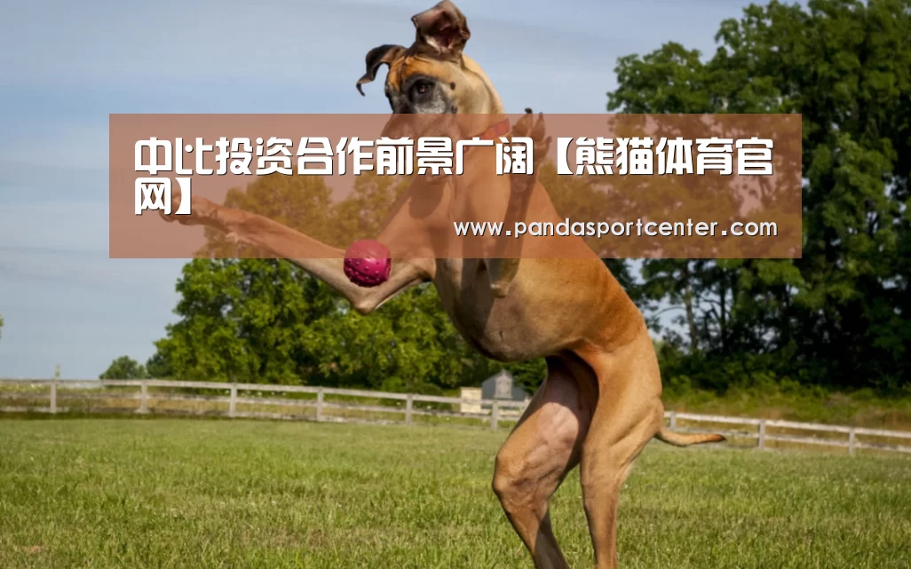 中比投资合作前景广阔【熊猫体育官网】(图2) 熊猫体育app