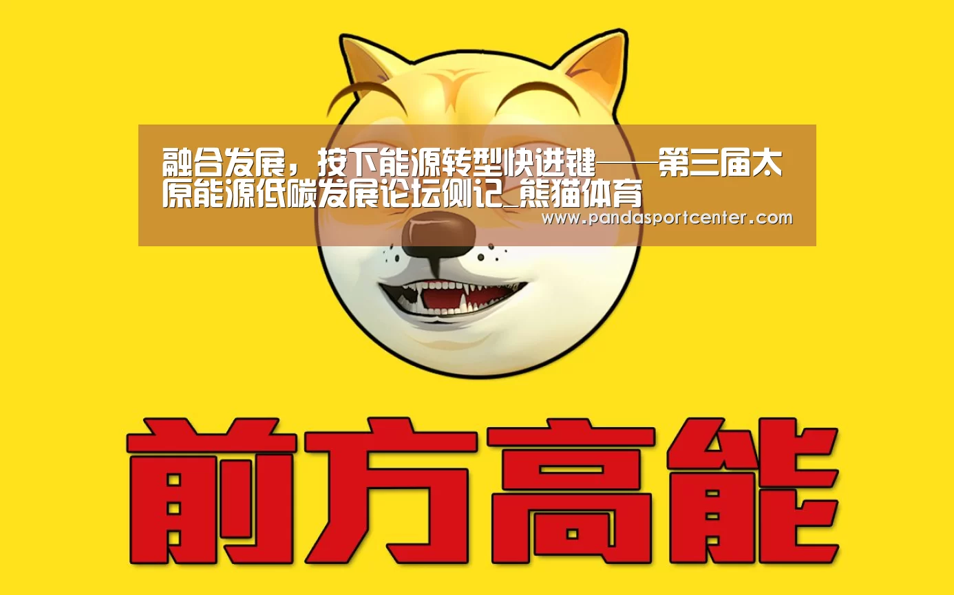 融合发展,按下能源转型快进键——第三届太原能源低碳发展论坛侧记_熊猫体育(图2) 熊猫体育app