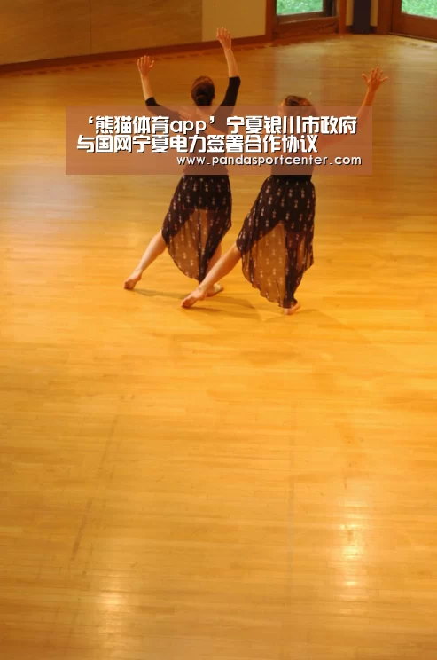 ‘熊猫体育app’宁夏银川市政府与国网宁夏电力签署合作协议(图1) 熊猫娱乐
